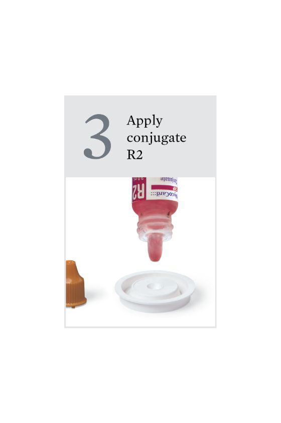 POC TEST KIT - C-REACTIVE PROTEIN, CRP, ABBOTT, NYCOCARD
